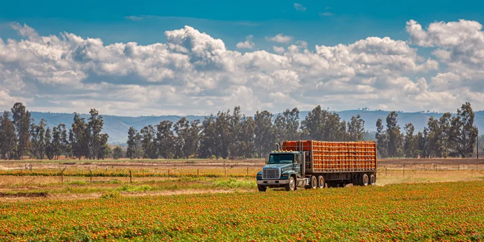 Texas Resumes Non-Domiciled CDLs for Agricultural Workers